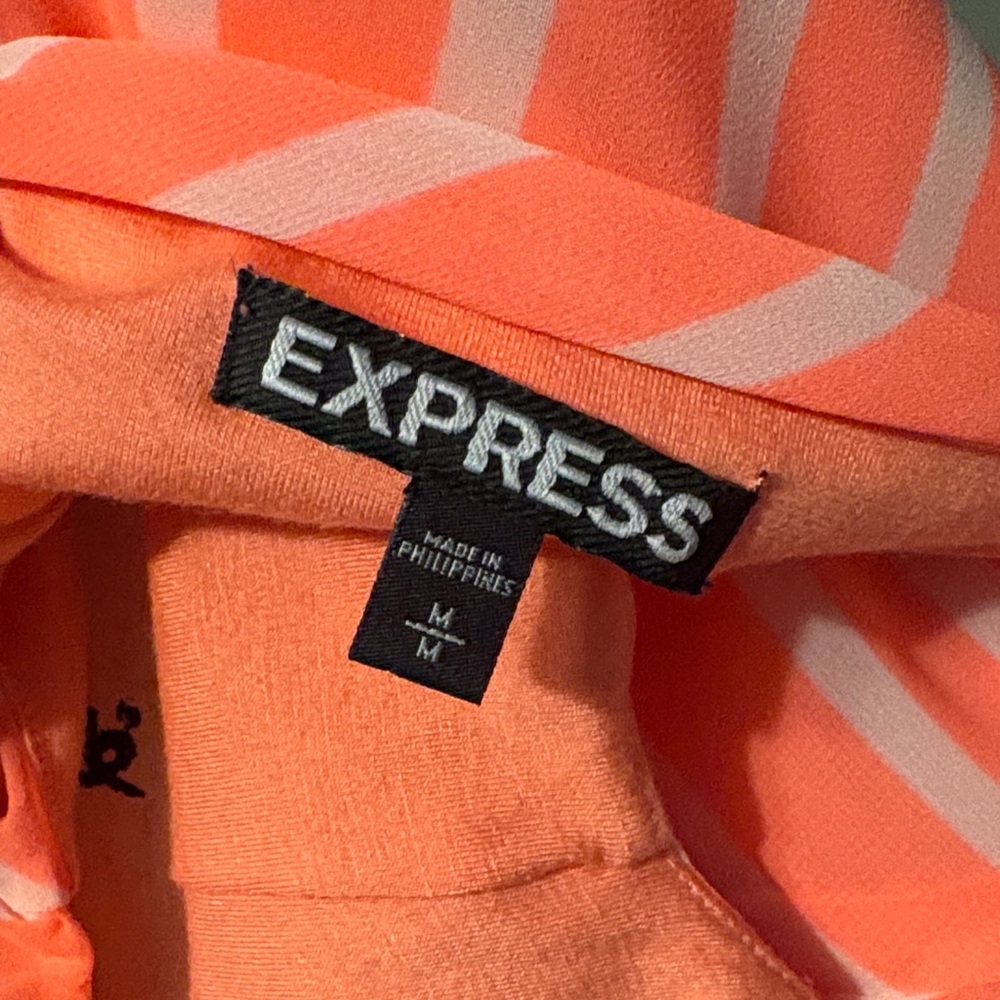 Express Dress - Picture 4 of 5